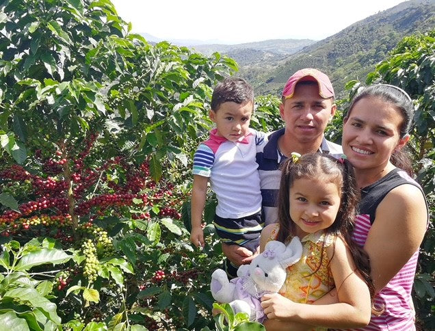 Timana Women in Coffee - Colombia