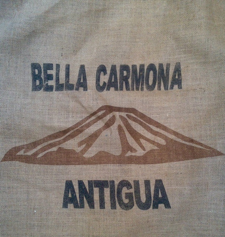 Bella Carmona