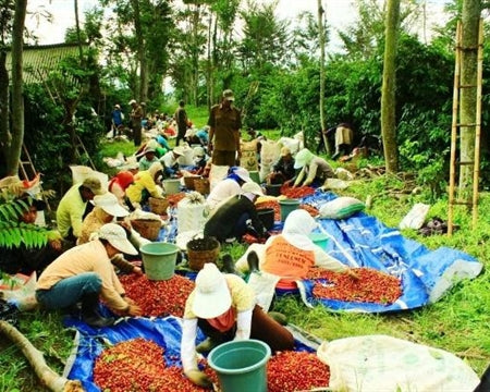 Dukunde Kawa - Rwanda